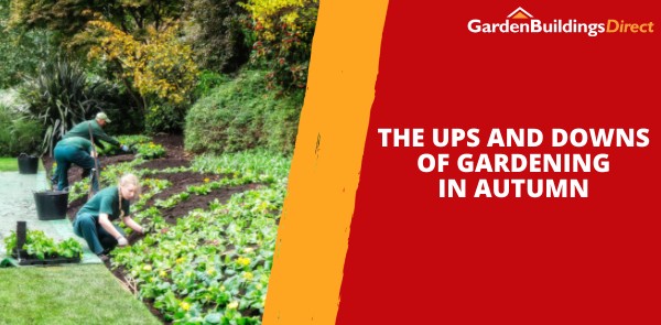 The Ups and Downs of Gardening in Autumn