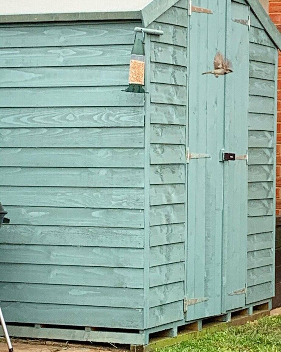 Customer’s Image: BillyOh Keeper Overlap Apex Shed