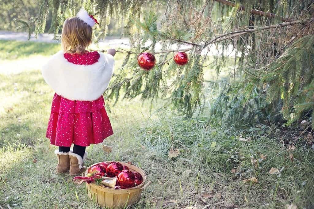 A little girl hanging red Christmas ball ornaments on pine tree branches next to a wooden basket full of cheery holiday adornments.
