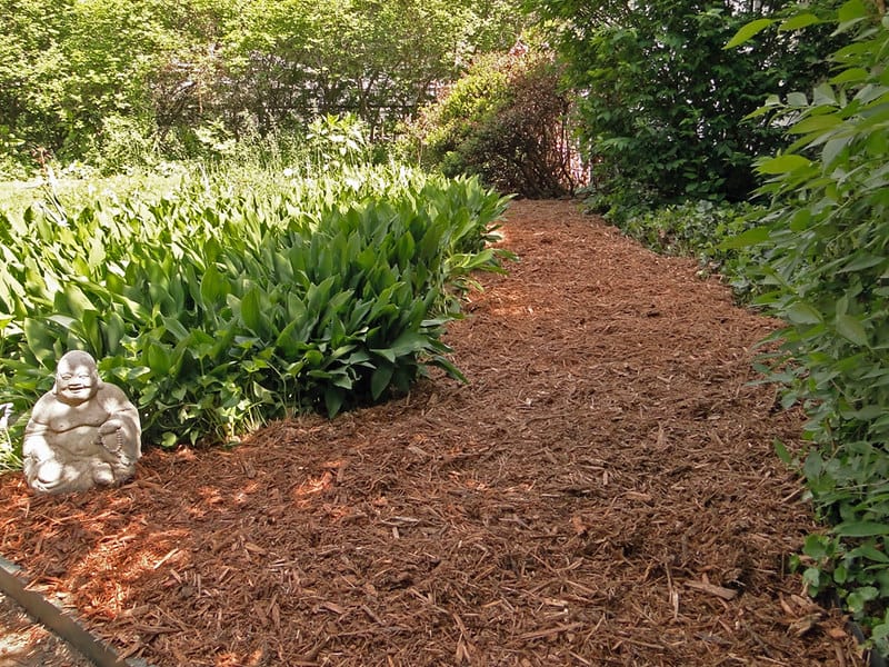 Garden path filled with mulch while surrounded by lush greenery.