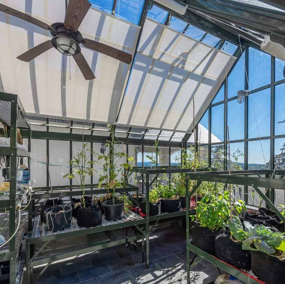 Interior view of a Victorian glass greenhouse with a display of potted plants on shelves.