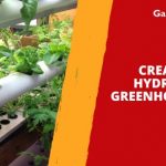 Creating a Hydroponic Greenhouse Set-Up