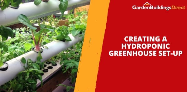 Creating a Hydroponic Greenhouse Set-Up
