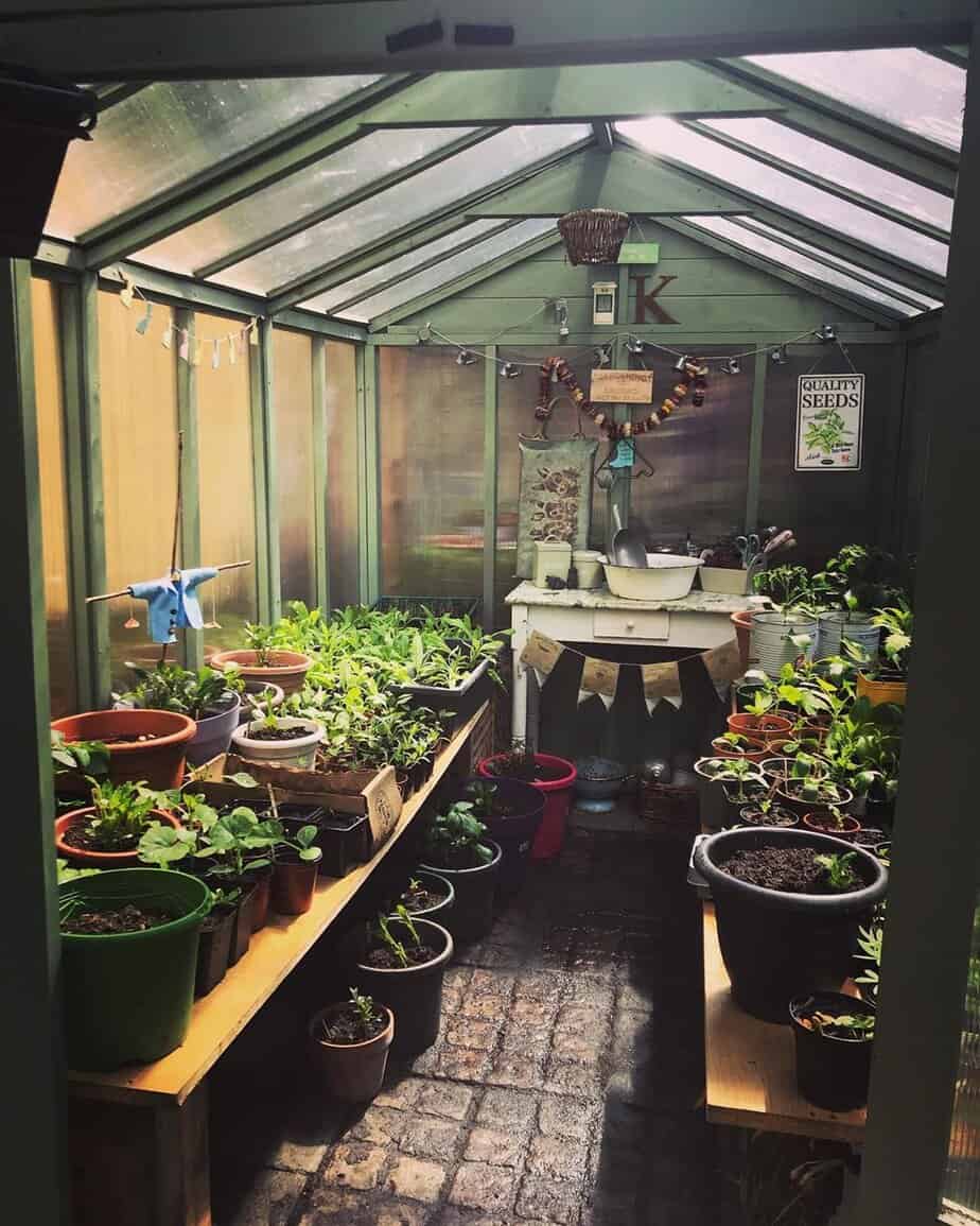 Customer’s Image: BillyOh 4000 Lincoln Wooden Polycarbonate Greenhouse