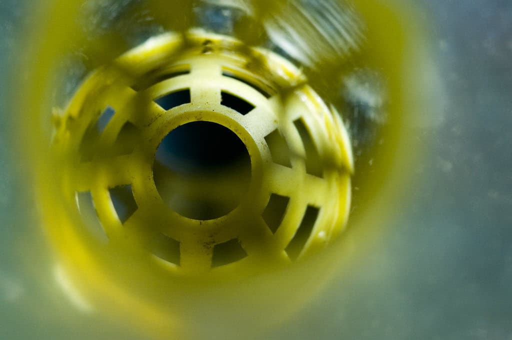 A close-up view inside a yellow wasp trap, showing the lattice pattern of the trap’s entrance.