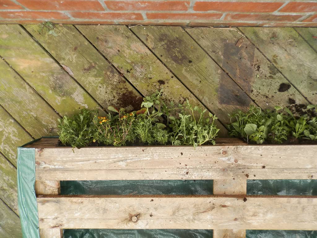 A wooden pallet repurposed as a planter box, filled with various small plants and flowers, placed on a wooden deck with a brick wall in the background.