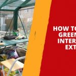 How to Clean a Greenhouse – Interior and Exterior