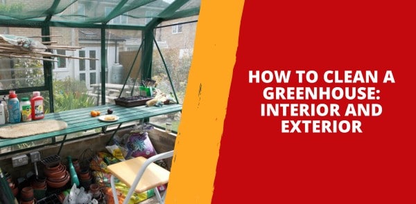 How to Clean a Greenhouse - Interior and Exterior