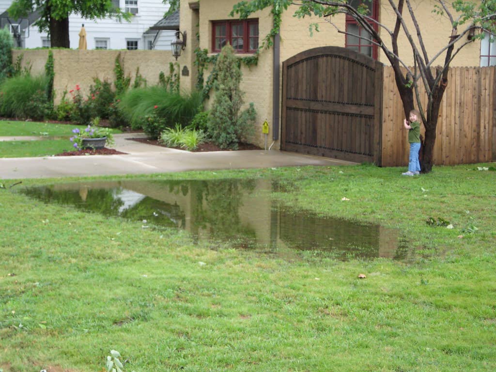 Standing water pooling in a garden lawn.