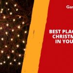 Best Places to Hang Christmas Lights in Your Garden