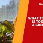 What Temperature Is Too Hot for a Greenhouse?