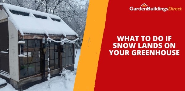 What to Do if Snow Lands on Your Greenhouse