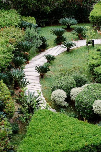 A boardwalk between plants in the garden.