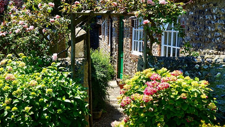 Dense garden shrubs providing a natural barrier for privacy.