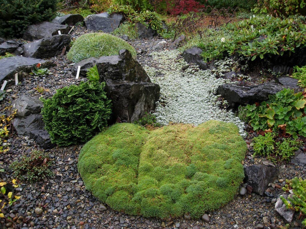 Mini rock garden and green stream.