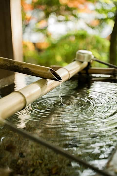 Water dripping from the traditional bamboo fountain.