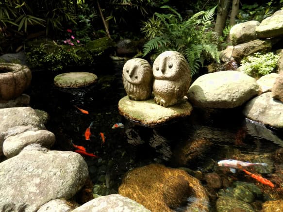 Garden rock Koi pond.