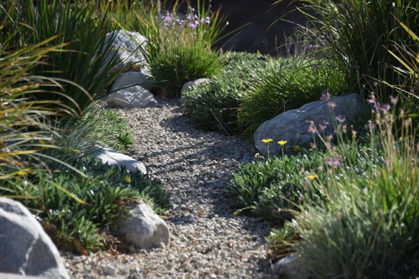 Close-up garden stone path.