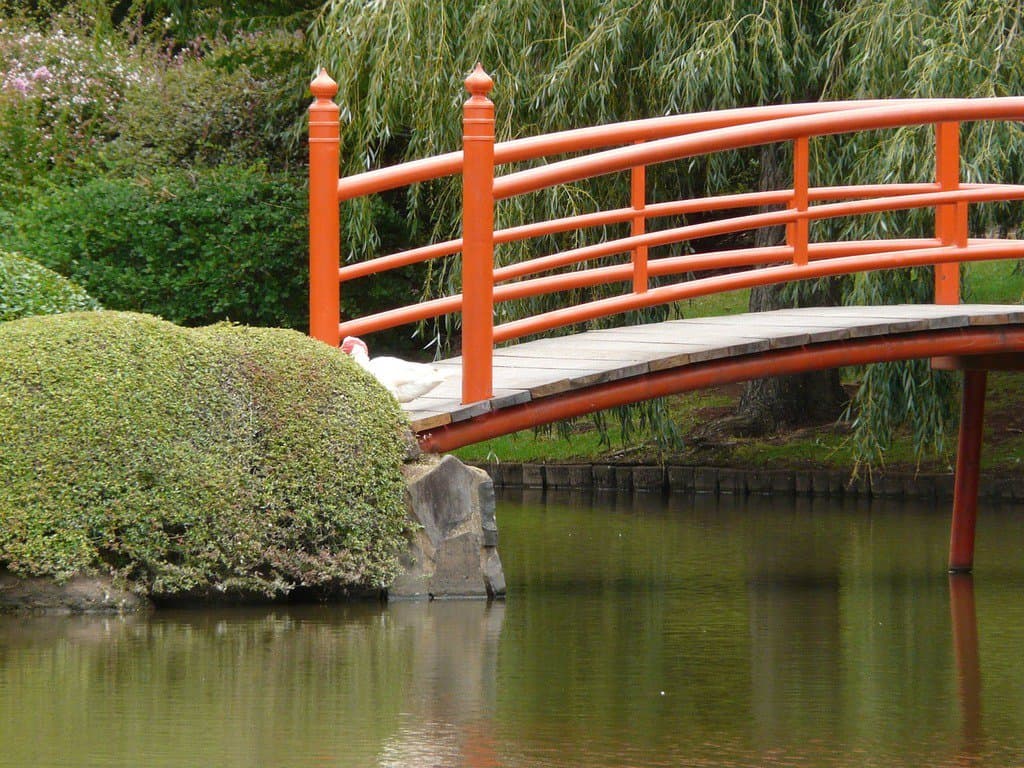 A bridge arching over a garden pond, surrounded by lush greenery