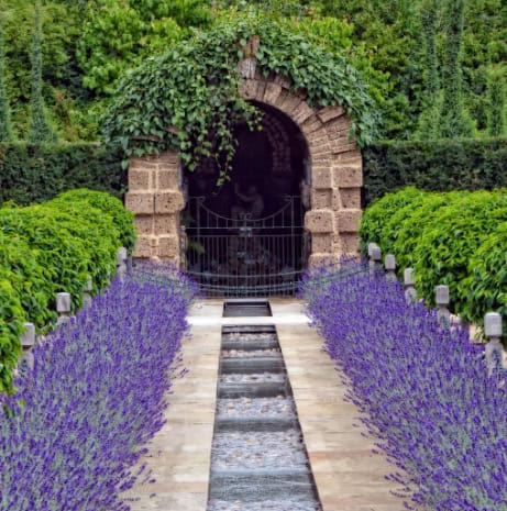 Gardens at Burghley Park, Lincolnshire, featuring rows of lavender along the pathway.