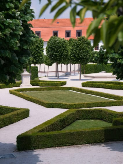 A minimalist garden featuring neatly trimmed boxwoods.