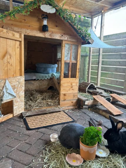 BillyOh customer's image of a wooden playhouse turned into a bunny house