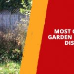 Most Common Garden Neighbour Disputes