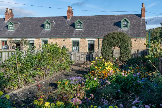 Gardens in front of a terraced house.
