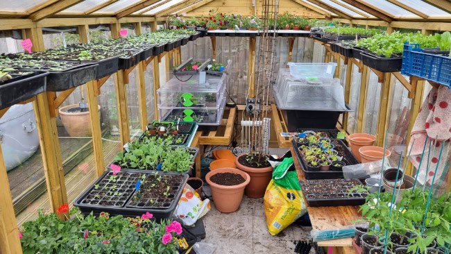 Customer's Image: BillyOh 4000 Lincoln Wooden Polycarbonate Greenhouse