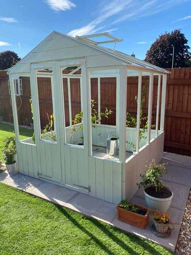 Customer’s Image: BillyOh 4000 Lincoln Wooden Clear Wall Greenhouse with Roof Vent