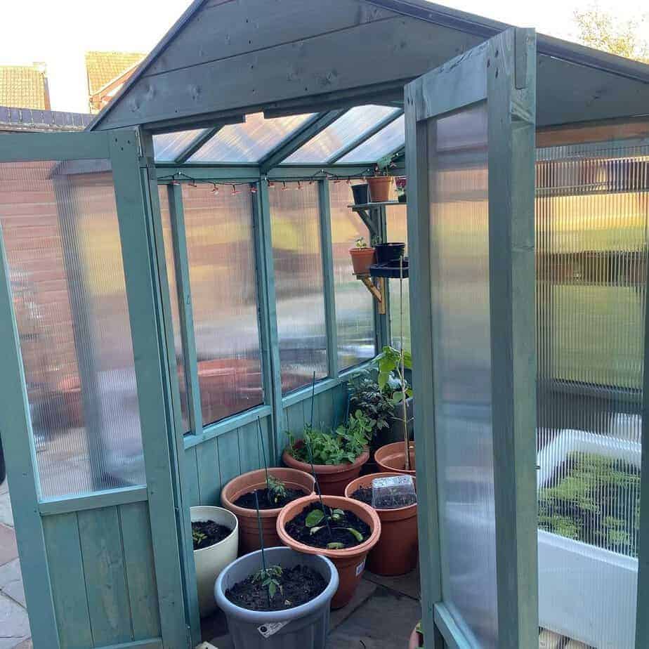 Customer’s Image: BillyOh 4000 Lincoln Wooden Polycarbonate Greenhouse with Roof Vent