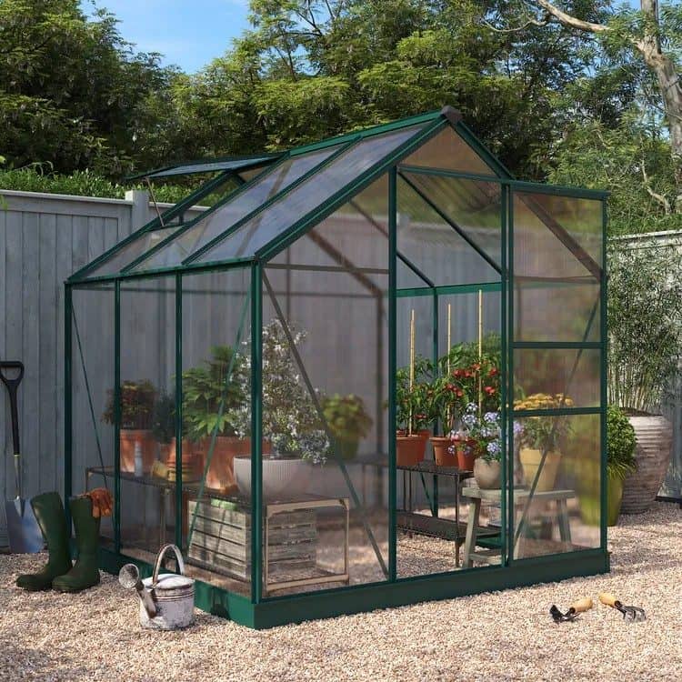green metal garden greenhouse with tomatoes growing inside