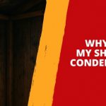Why Does My Shed Have Condensation?