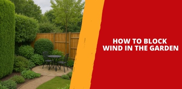 How to Block Wind in the Garden