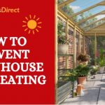 What to Do if Your Greenhouse is Too Hot