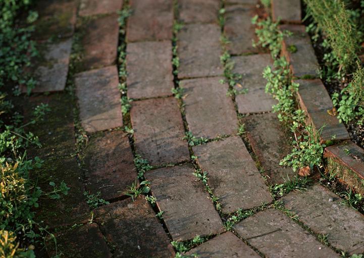Rustic garden ideas: Brick pathway with grass peeking through the gaps.