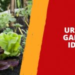 Urban Garden Ideas