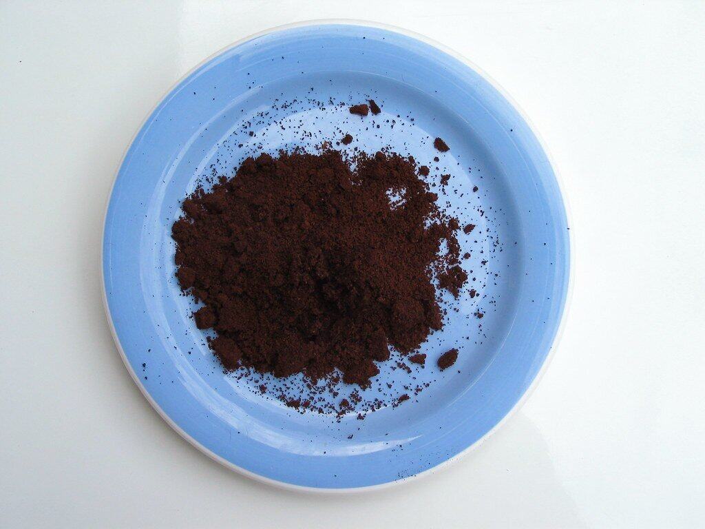 Used coffee grounds on a blue plate.