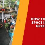 How to Maximise Space in a Small Greenhouse