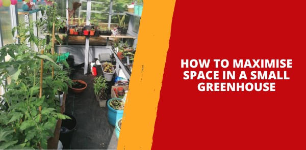 How to Maximise Space in a Small Greenhouse