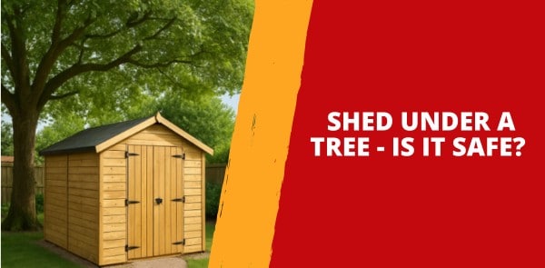Shed Under a Tree - Is it Safe?