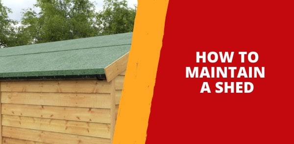 How to Maintain a Shed