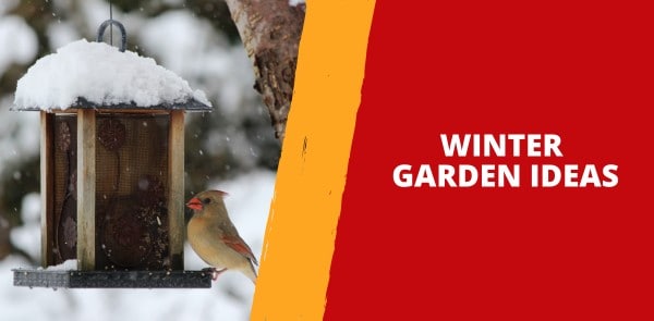 Winter Garden Ideas