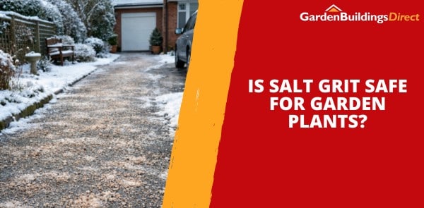 Should I Use Salt Grit on My Garden Path and Driveway?