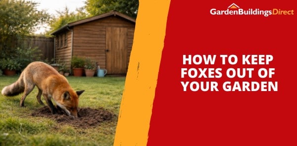 The Best Ways to Keep Foxes Out of Your Garden