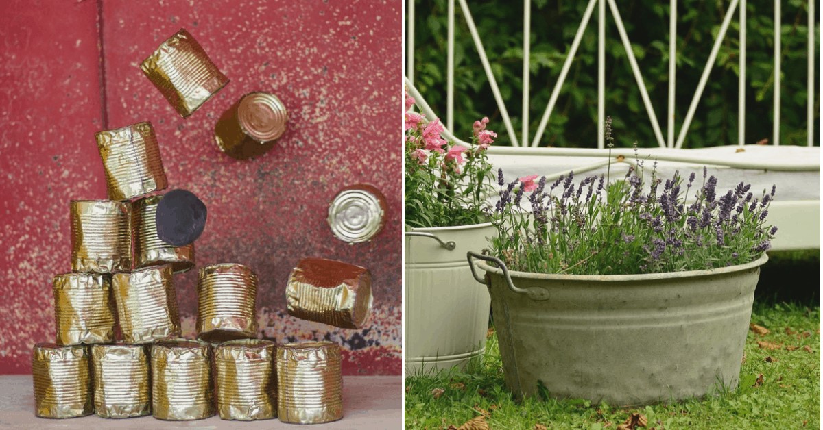 5 Alternatives To Plant Pots You Can Find At Home