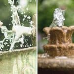 5 Reasons Why Water Features Deserve a Spot in Your Garden