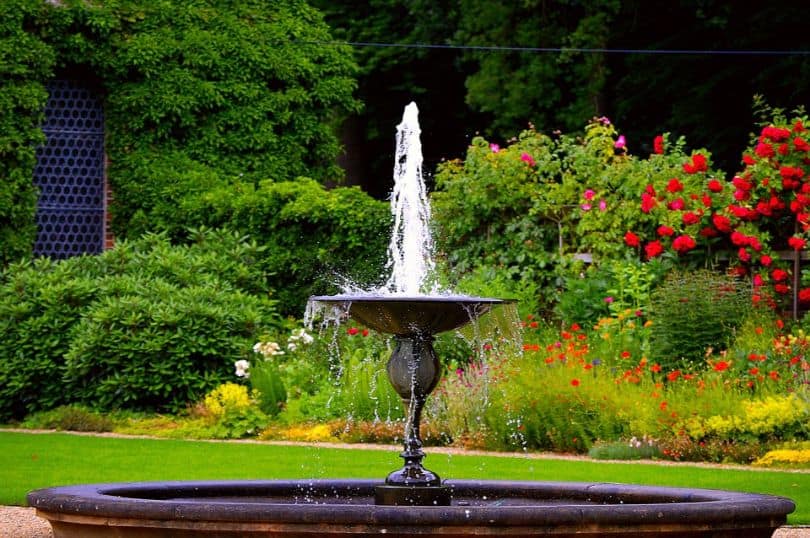 water fountain in a lush green garden 