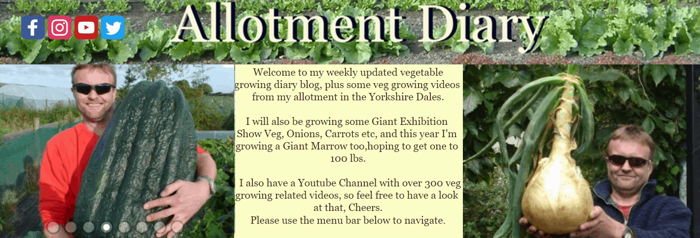 Allotment Diary Blog Banner