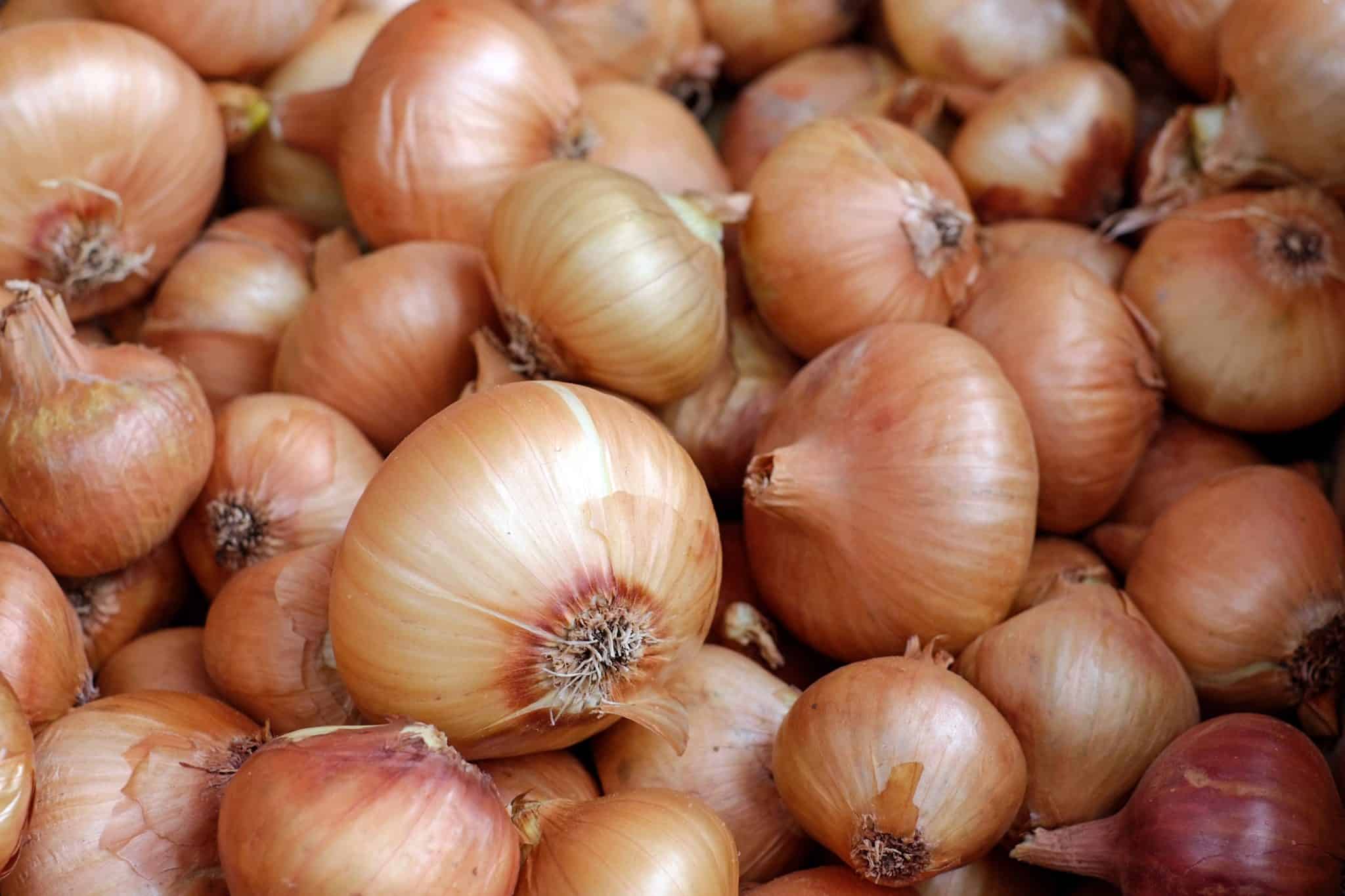 Assorted Onions